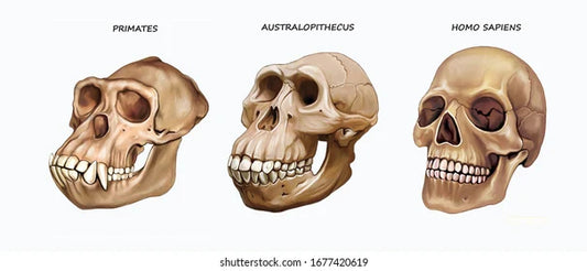 Carne cruda: cuando la moda olvida la evolución