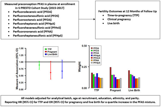 Plásticos, antiadherentes y fertilidad: la crisis silenciosa que “no vemos”