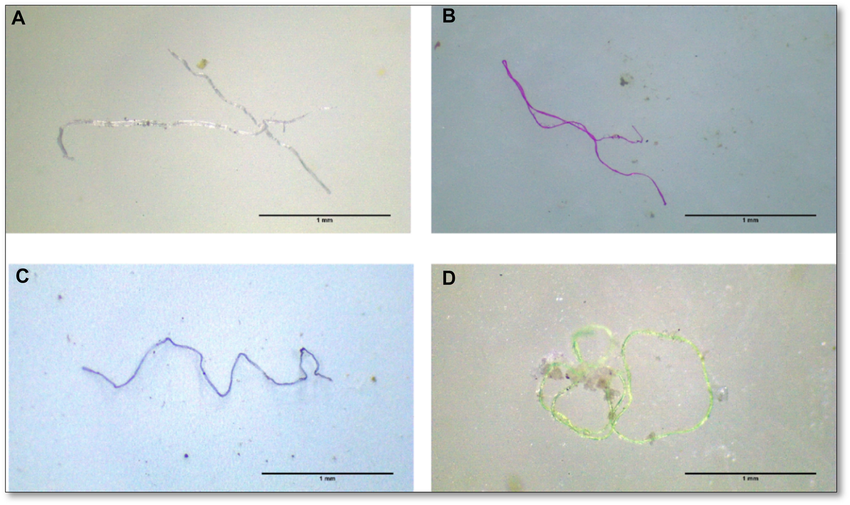 Contaminación por polímeros sintéticos en el agua embotellada