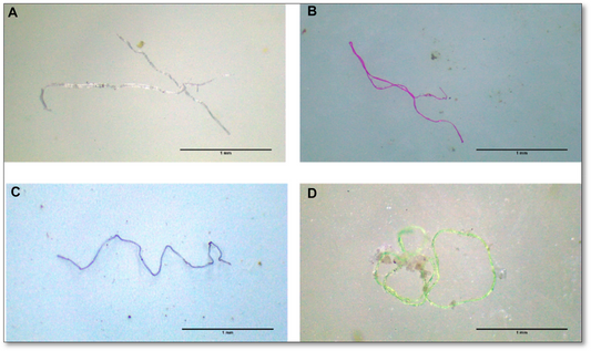 Contaminación por polímeros sintéticos en el agua embotellada