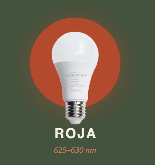 Luz roja ROJA · 625–630 nm