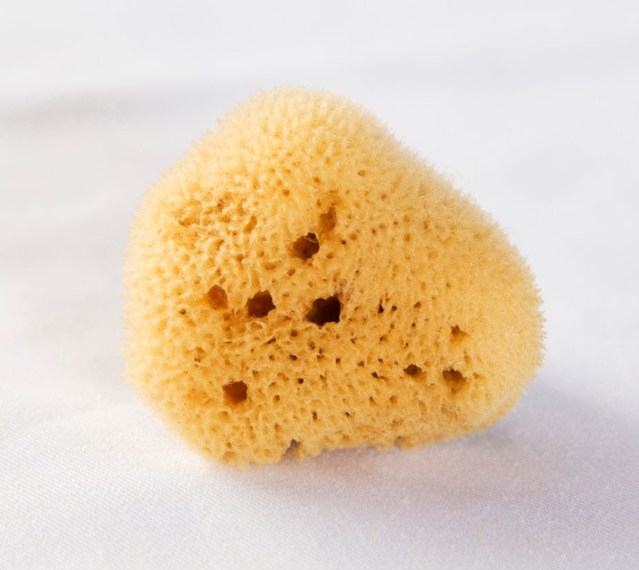 Esponja menstrual 2u